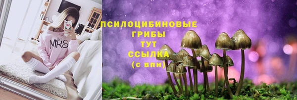 а пвп мука Балахна